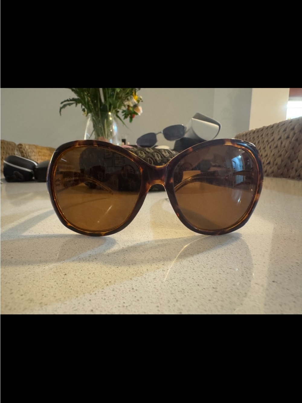 Dior Tortoiseshell Oversized Sunglasses with Brown Lenses